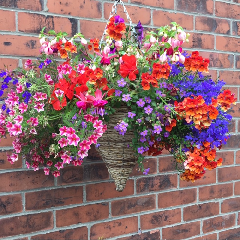 Meet your Posher, FairOne